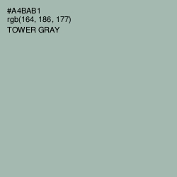 #A4BAB1 - Tower Gray Color Image