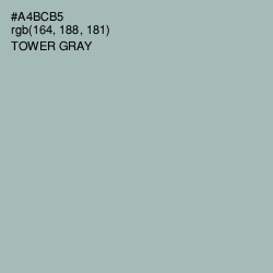 #A4BCB5 - Tower Gray Color Image