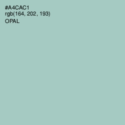 #A4CAC1 - Opal Color Image