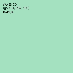 #A4E1C0 - Padua Color Image