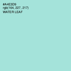 #A4E3D9 - Water Leaf Color Image