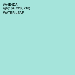 #A4E4DA - Water Leaf Color Image