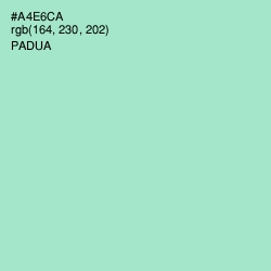 #A4E6CA - Padua Color Image