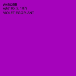 #A502BB - Violet Eggplant Color Image