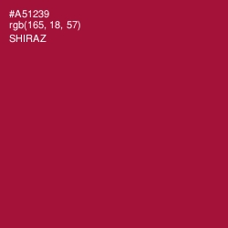 #A51239 - Shiraz Color Image