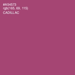 #A54573 - Cadillac Color Image