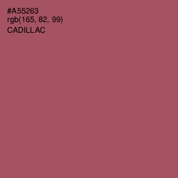 #A55263 - Cadillac Color Image