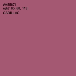 #A55871 - Cadillac Color Image