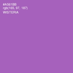 #A561BB - Wisteria Color Image