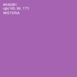 #A563B1 - Wisteria Color Image