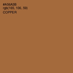 #A56A3B - Copper Color Image