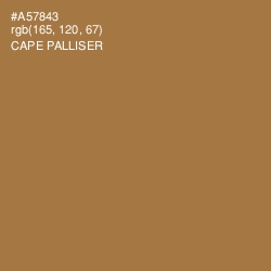 #A57843 - Cape Palliser Color Image