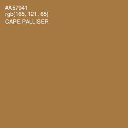 #A57941 - Cape Palliser Color Image