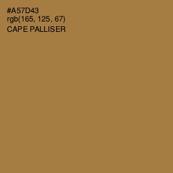 #A57D43 - Cape Palliser Color Image