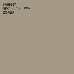 #A59987 - Zorba Color Image