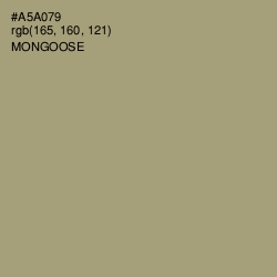 #A5A079 - Mongoose Color Image