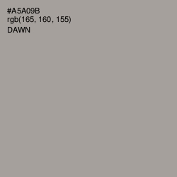 #A5A09B - Dawn Color Image