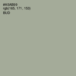 #A5AB99 - Bud Color Image