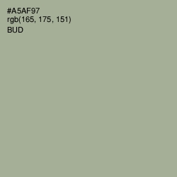 #A5AF97 - Bud Color Image