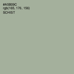 #A5B09C - Schist Color Image