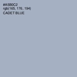 #A5B0C2 - Cadet Blue Color Image