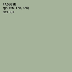 #A5B39B - Schist Color Image