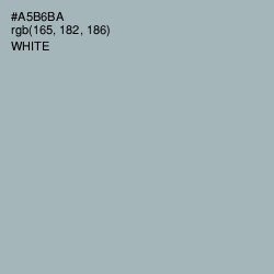 #A5B6BA - Tower Gray Color Image