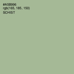 #A5B996 - Schist Color Image