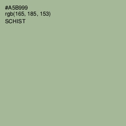 #A5B999 - Schist Color Image