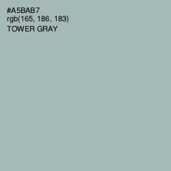 #A5BAB7 - Tower Gray Color Image