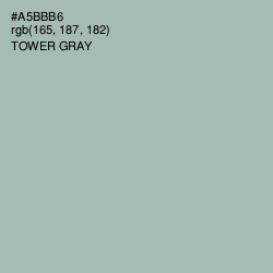 #A5BBB6 - Tower Gray Color Image