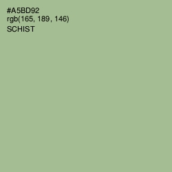 #A5BD92 - Schist Color Image