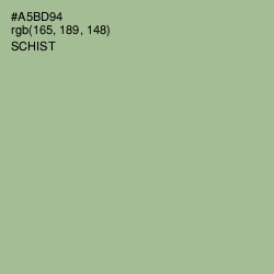 #A5BD94 - Schist Color Image