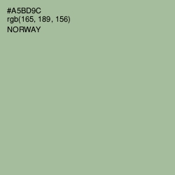 #A5BD9C - Norway Color Image