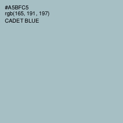 #A5BFC5 - Cadet Blue Color Image