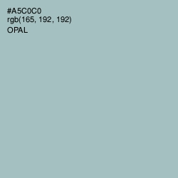 #A5C0C0 - Opal Color Image
