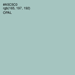 #A5C5C0 - Opal Color Image