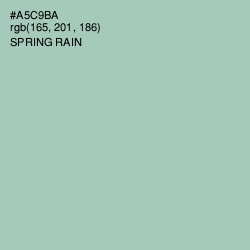 #A5C9BA - Spring Rain Color Image