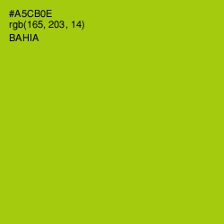 #A5CB0E - Bahia Color Image