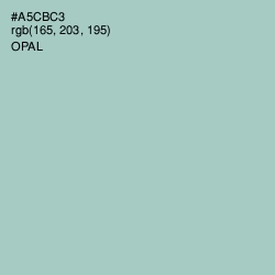 #A5CBC3 - Opal Color Image