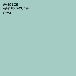 #A5CBC5 - Opal Color Image