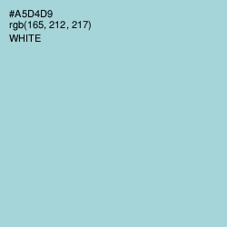 #A5D4D9 - Aqua Island Color Image