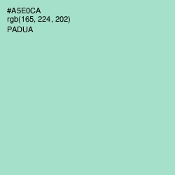 #A5E0CA - Padua Color Image