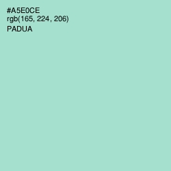 #A5E0CE - Padua Color Image