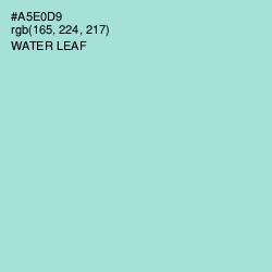 #A5E0D9 - Water Leaf Color Image