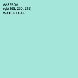#A5E6DA - Water Leaf Color Image