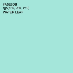 #A5E6DB - Water Leaf Color Image