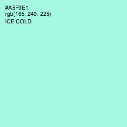 #A5F9E1 - Ice Cold Color Image