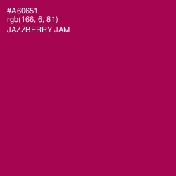 #A60651 - Jazzberry Jam Color Image