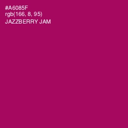 #A6085F - Jazzberry Jam Color Image